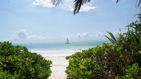 Skrivarkurs på Zanzibar