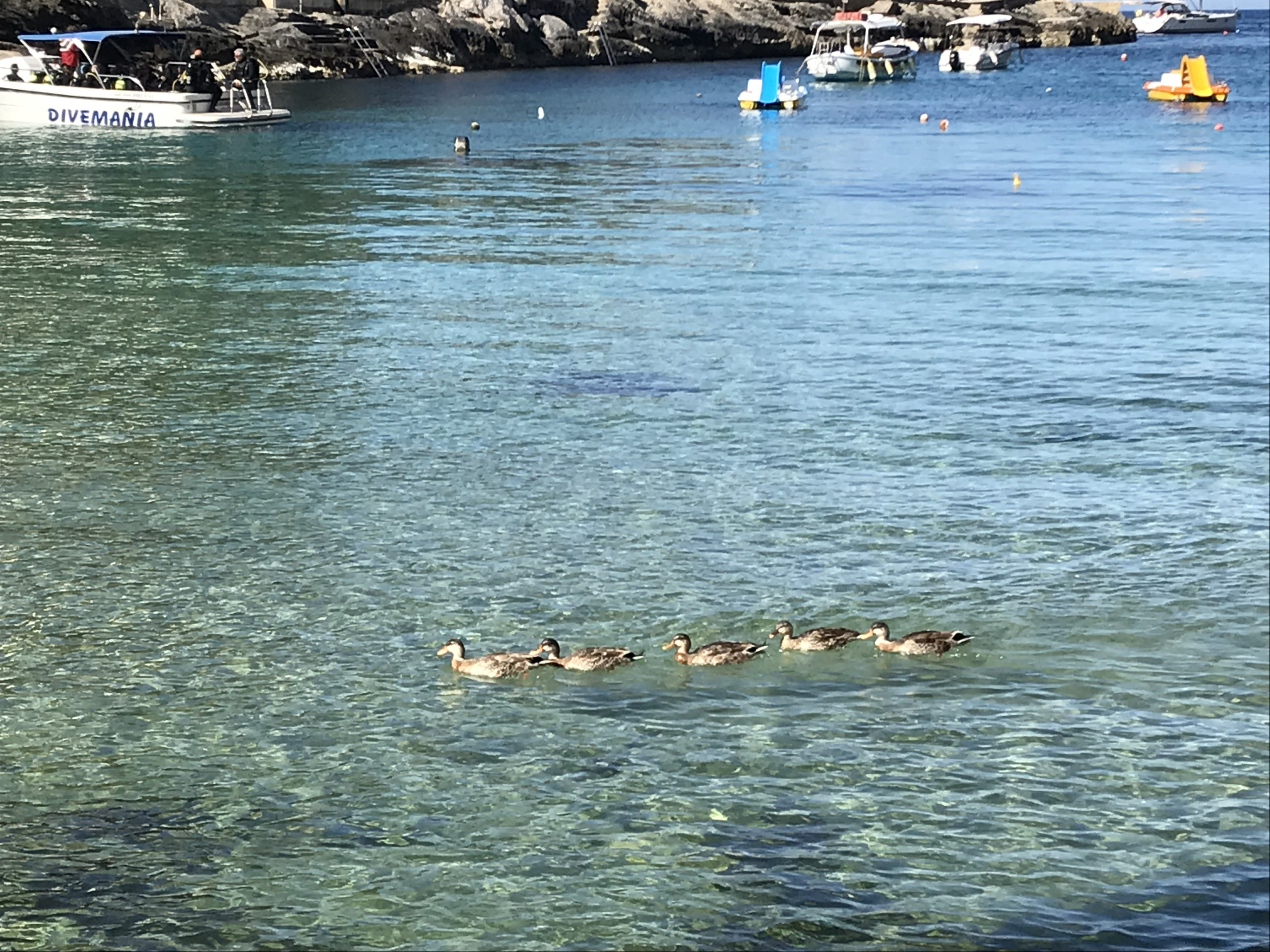 2. Promenad eller frukostsyn